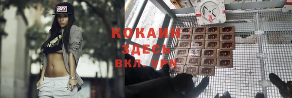 молекула духа Богородск
