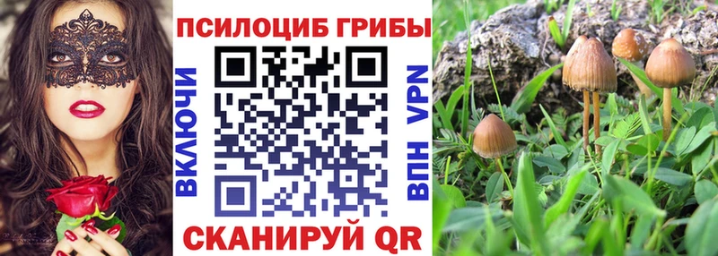 Галлюциногенные грибы Cubensis  Рыбинск 